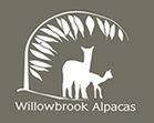 Willowbrook Alpacas